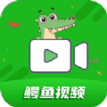鳄鱼视频app官方最新版