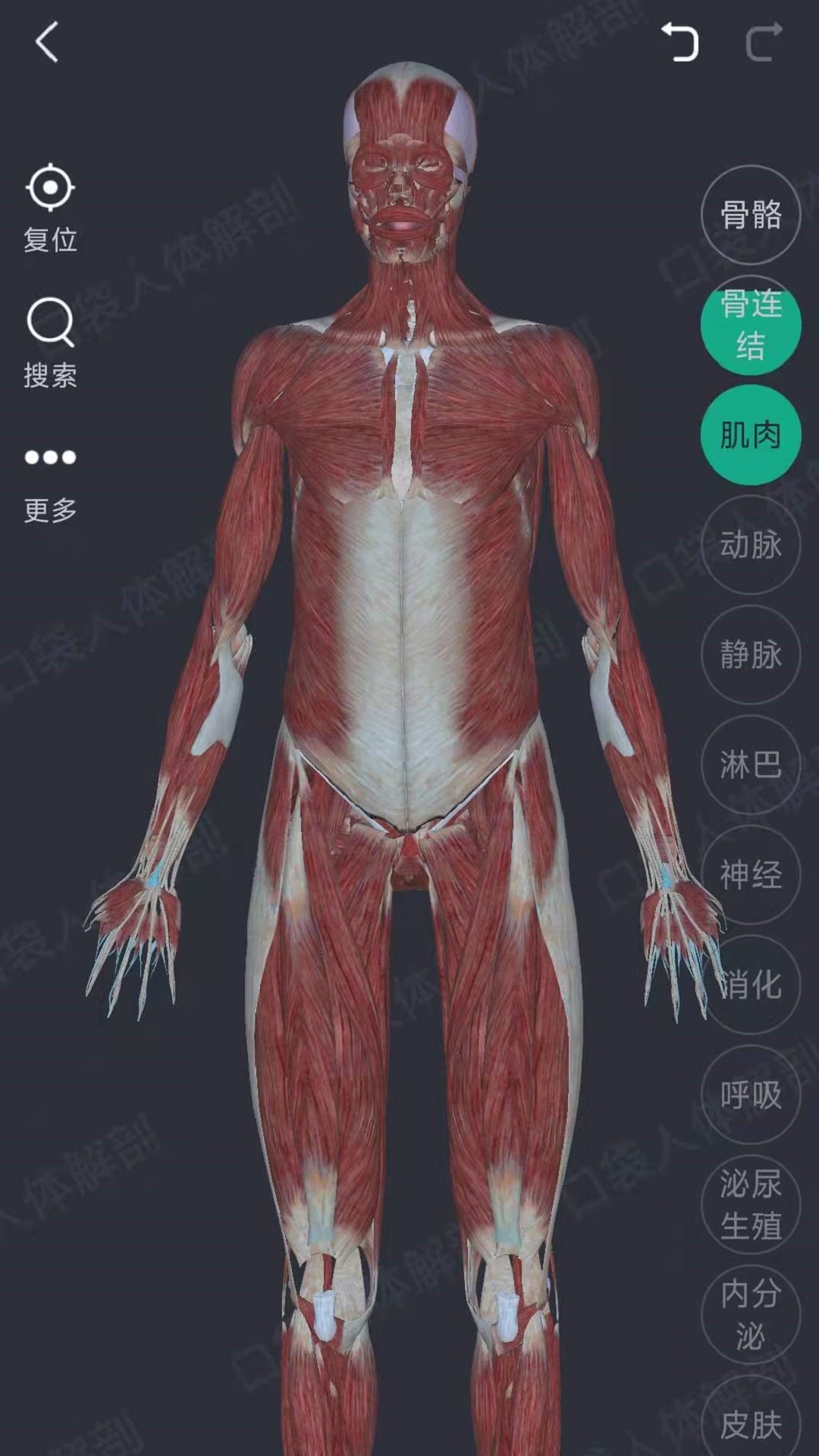 万康人体解剖3D软件官方版图片1
