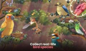 鸟类世界游戏安卓版图片1