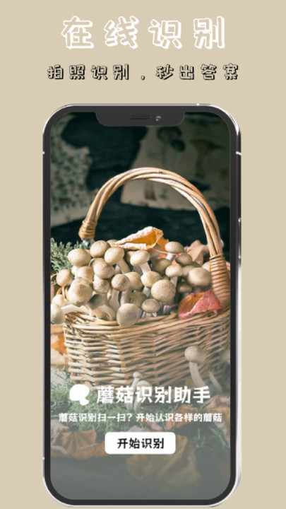 蘑菇识别高手app免费版图3: