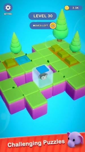 猫猫迷宫冒险游戏官方版图片1