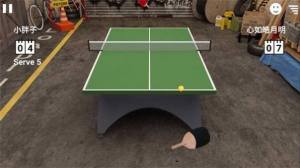 双人乒乓球游戏官方版图片1