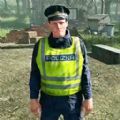 疯狂巡警模拟游戏官方版