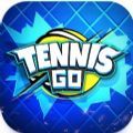 网球世界巡回赛3D手机版安卓版 v0.0.1