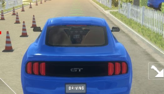 2024汽车驾驶模拟器游戏中文手机版（Driving Simulator 2024）图2: