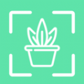 拍照识别植物弛意版app
