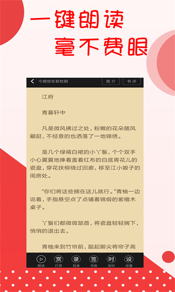 阅听小说app官方下载最新版图1: