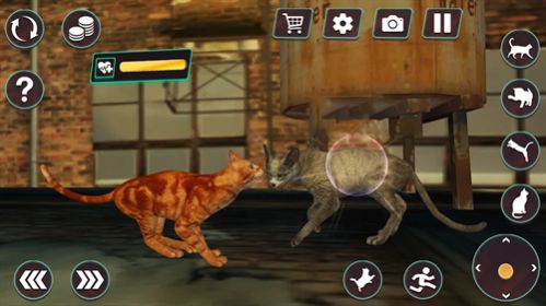 猫咪格斗战争模拟器游戏中文版截图2: