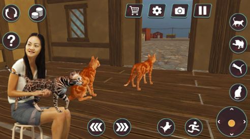 猫咪格斗战争模拟器游戏中文版图2: