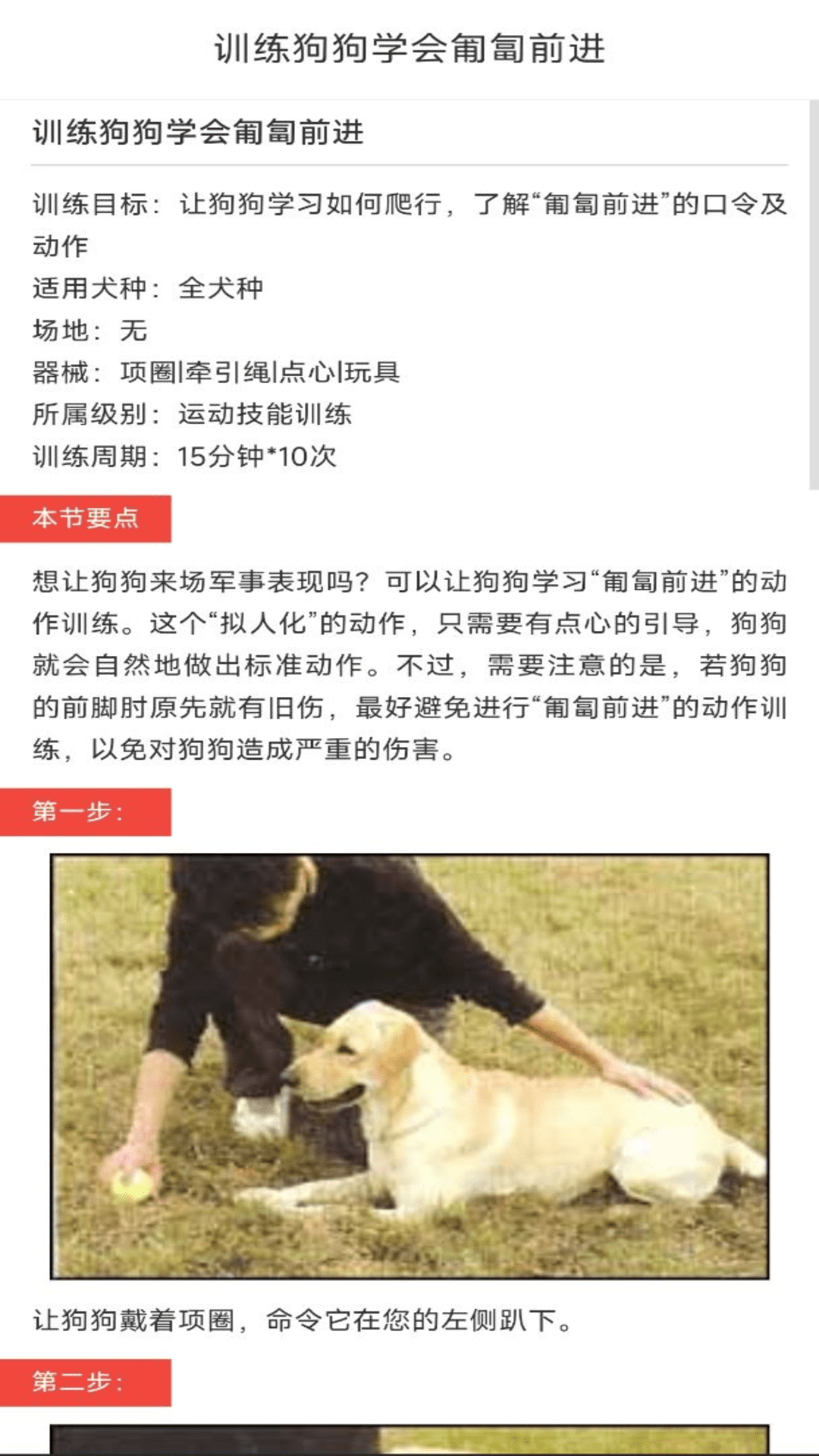 动物对话翻译器中文版免费下载图2: