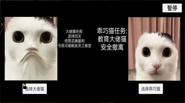 猫猫惊魂夜中文手机版图片1