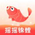 摇摇锦鲤app