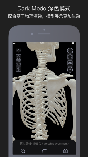 运动解剖app图1
