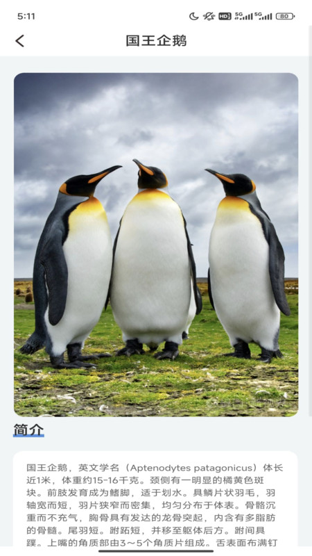 企鹅妙看软件官方版图2: