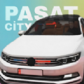 帕萨特汽车之城游戏安卓版 v1