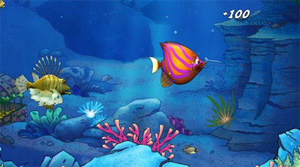 鱼吃鱼模拟官方安卓版图2: