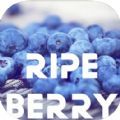 RipeBerry影视APP免费版 v2.0