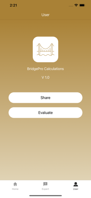 桥梁计算软件图1
