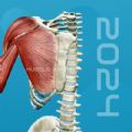 3D肌肉解剖app官方正版 v1.0