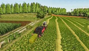 村庄农用拖拉机游戏图2