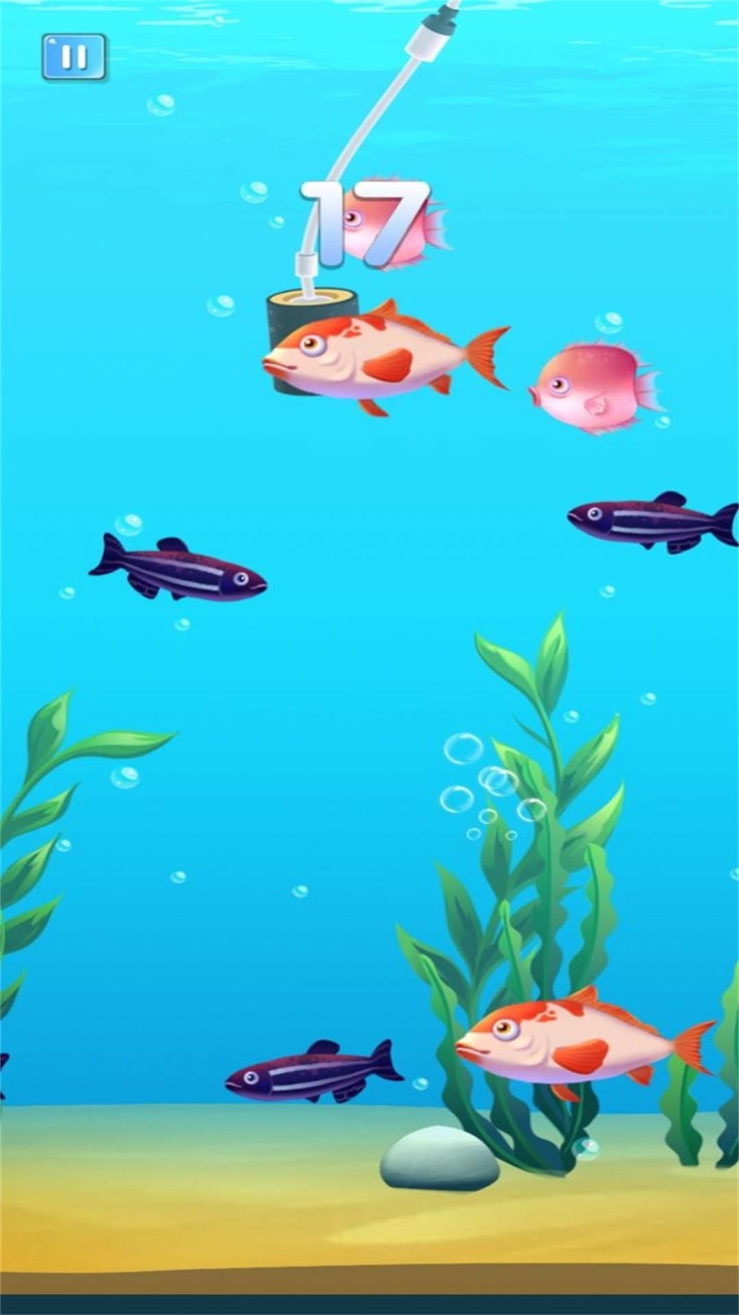 小鱼的吞食逆袭最新版下载安装图2: