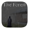兰德里纳河的森林雨天游戏中文版 v1.02