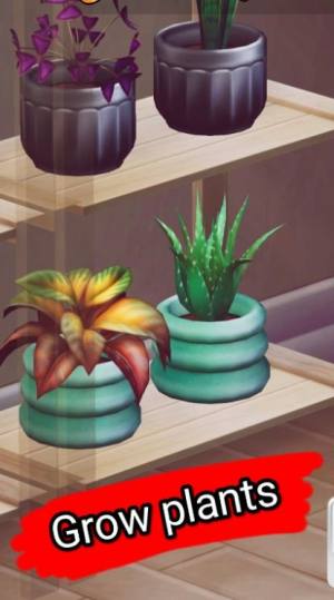 种植植物植物大亨游戏图1
