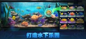 Top Fish中文版图2