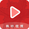 枫叶视频软件免费版 v2.5.2