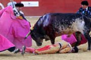 西班牙斗牛士遭公牛刺伤 伤势过重不幸去世[多图]