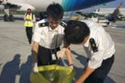 陕西咸阳机场国际航班货舱内发现活体蛇[多图]