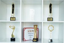 云畅游戏《不良人2》手游获多项行业大奖[多图]