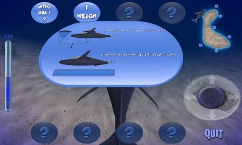 虚拟座头鲸图4: