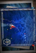 帆船锦标赛图4: