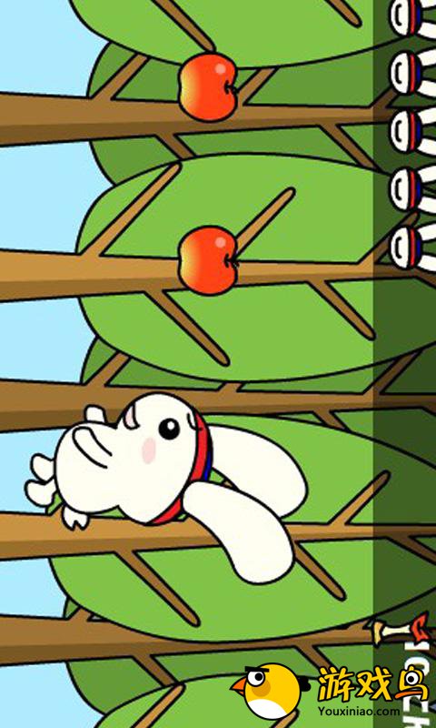 兔子吃苹果图2: