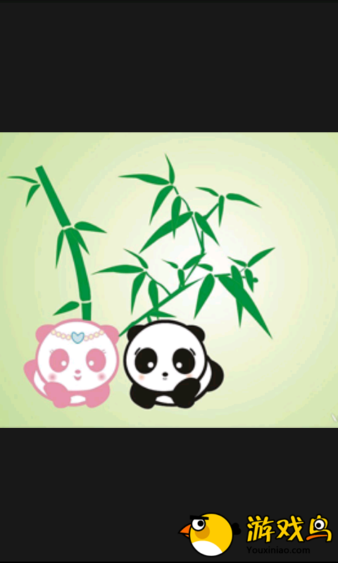 Panda & Pandy图3: