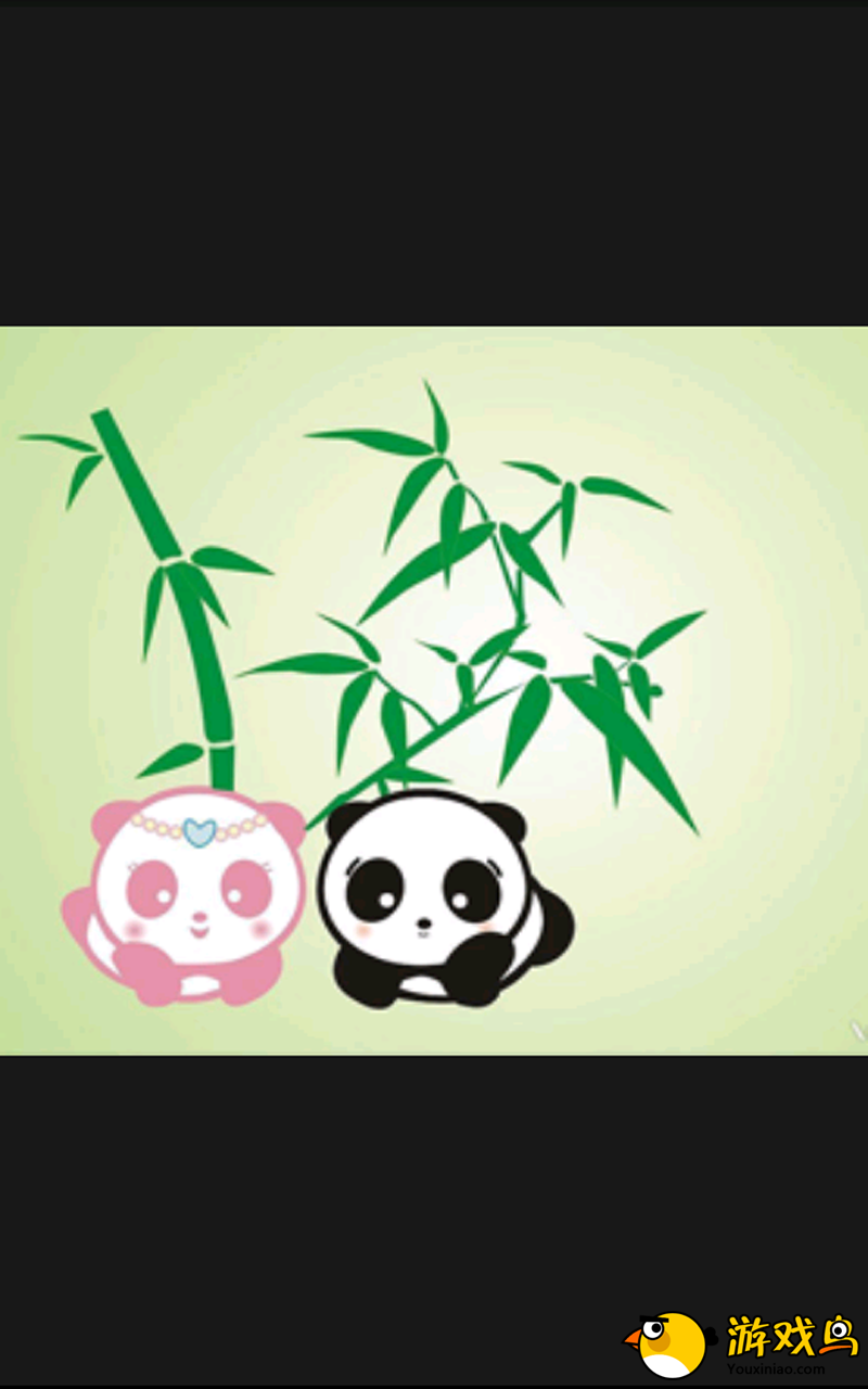 Panda & Pandy图2:
