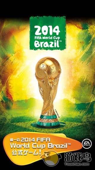 2014巴西世界杯图5: