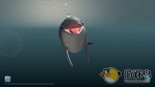 我是一只海豚图2: