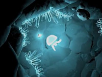 深海之光宣传视频 一只小水母的深海大冒险[图]
