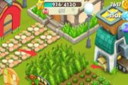 阿狸农场游戏豌豆玩法介绍  种豌豆的解析[图]