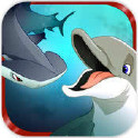 食人鲨:海豚的崛起
