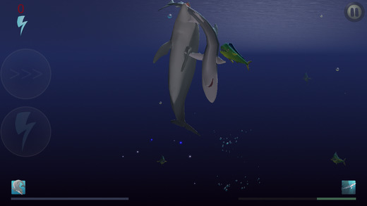 食人鲨:海豚的崛起图3:
