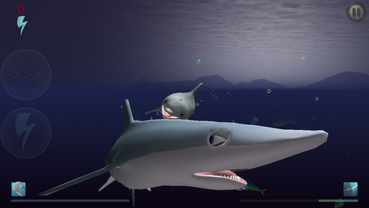 食人鲨:海豚的崛起图1: