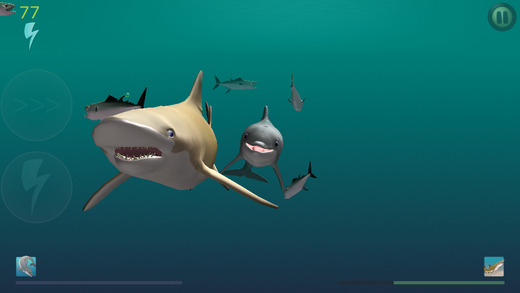 食人鲨:海豚的崛起图5: