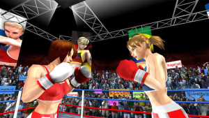 女子拳击对抗图5