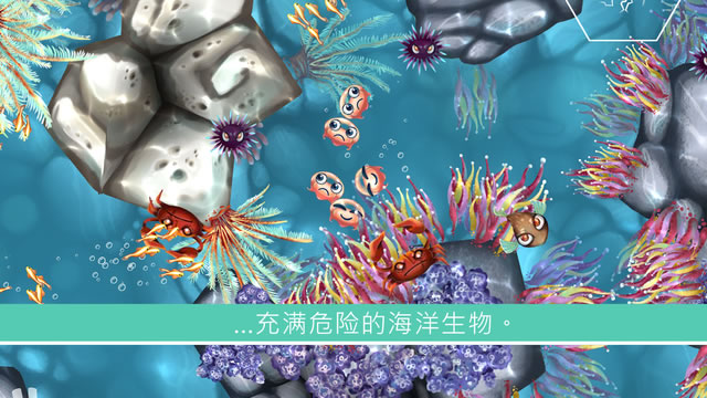 水母暗礁图2:
