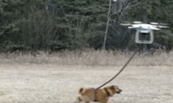 男子用无人机遛狗 失控狗狗被带走上天了！[图]