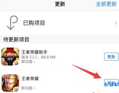 王者荣耀iOS版12月13日无法更新解决方法[图]
